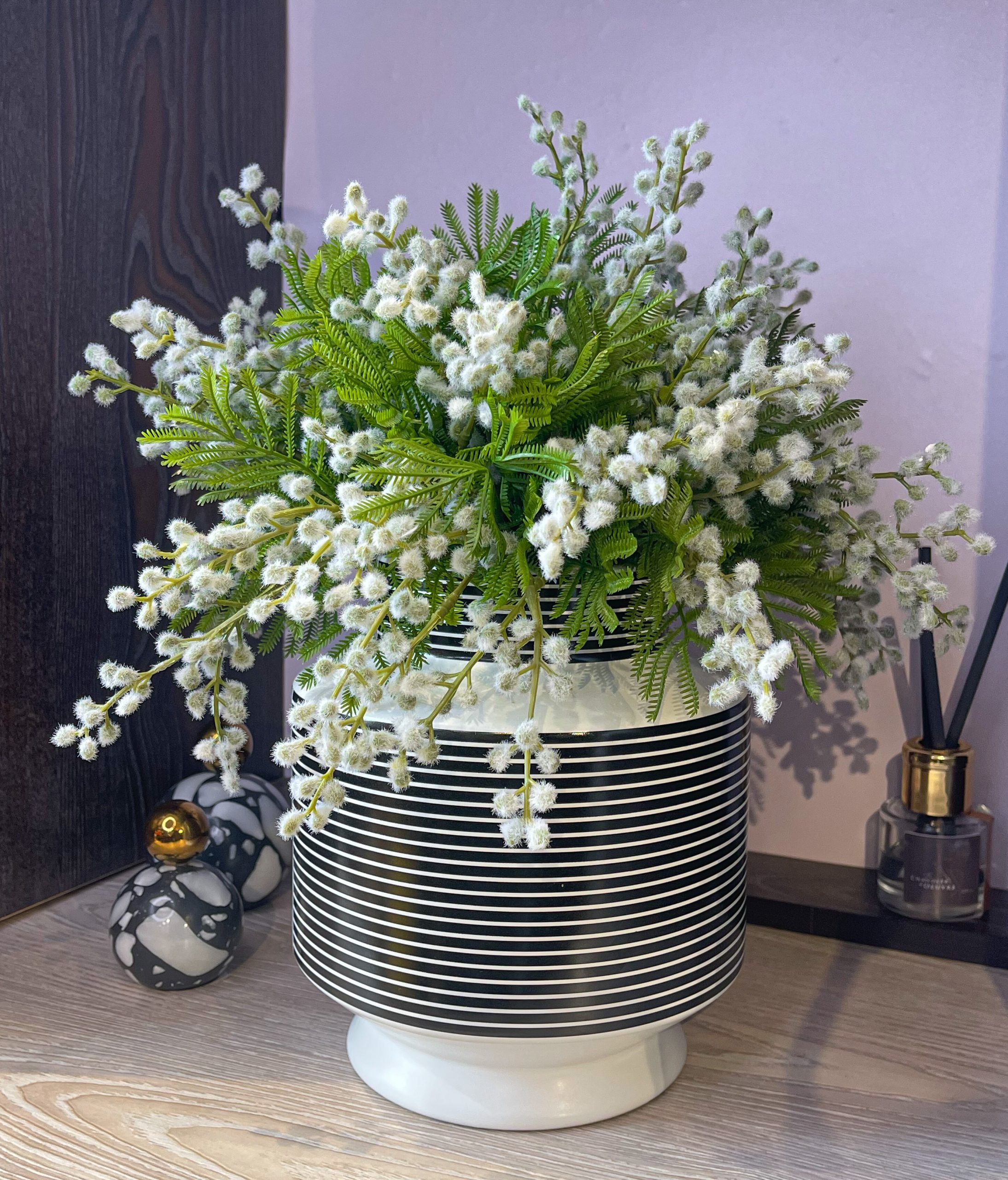 Potted Plant