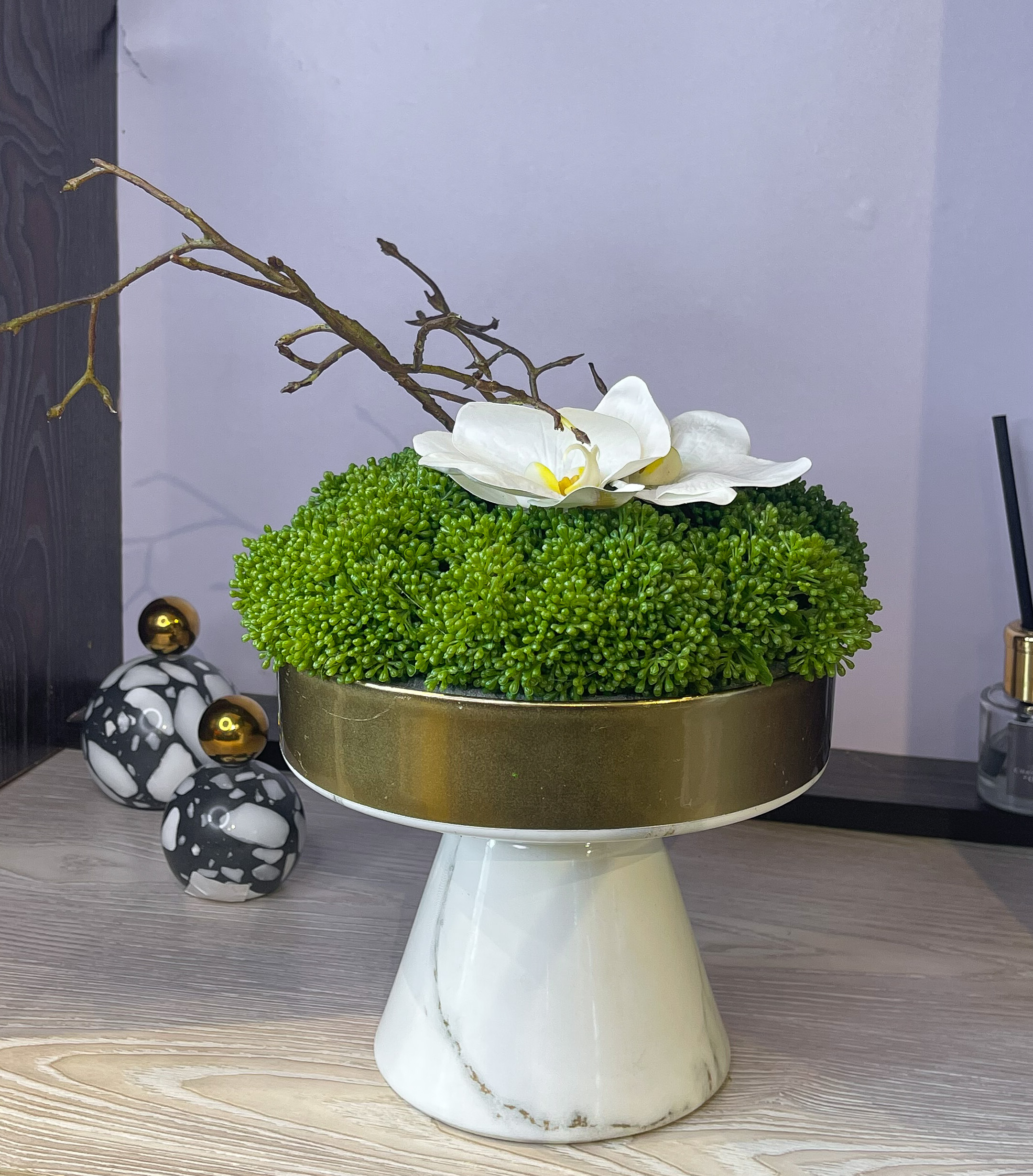 Potted Plant