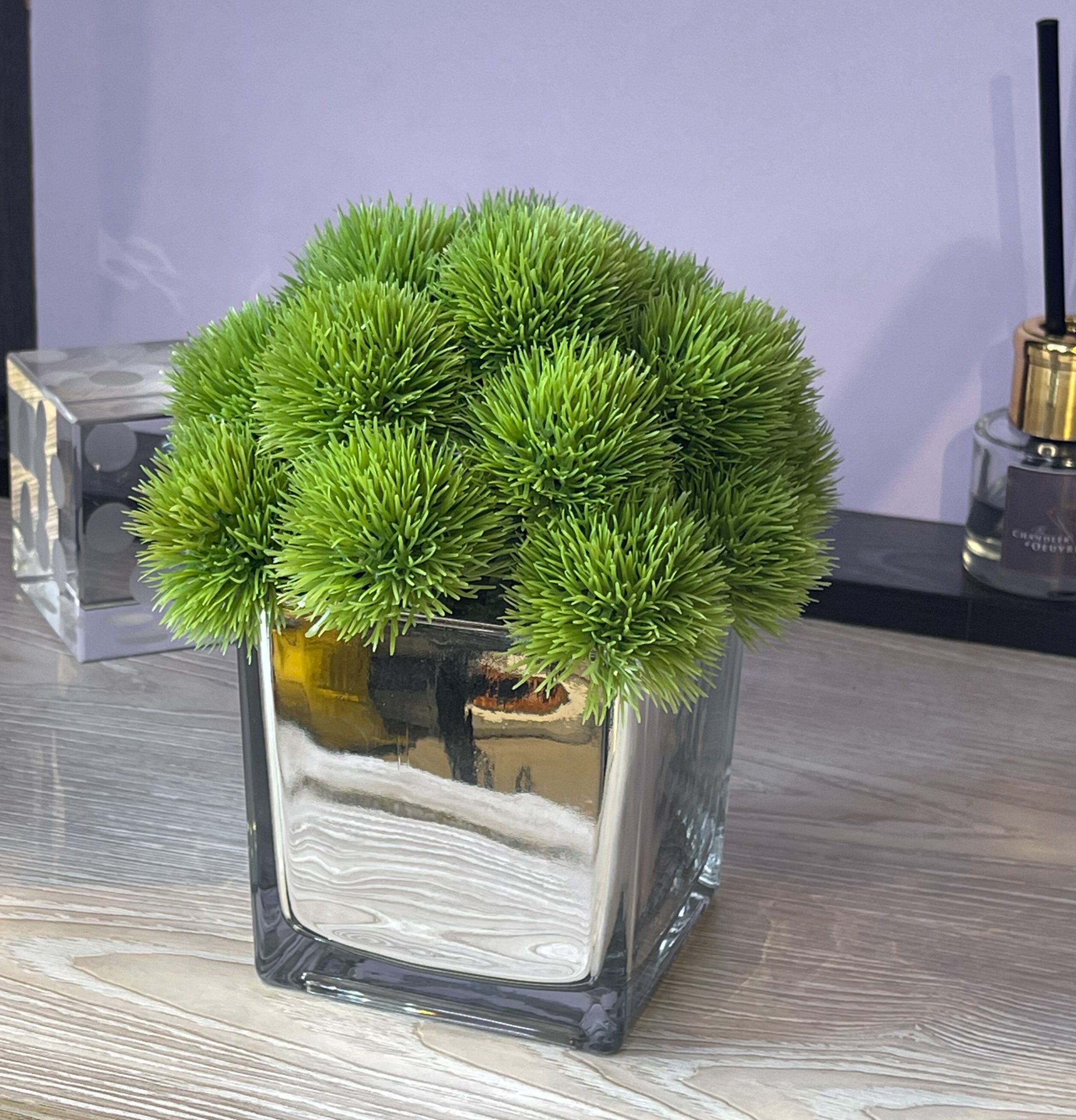 Potted Plant