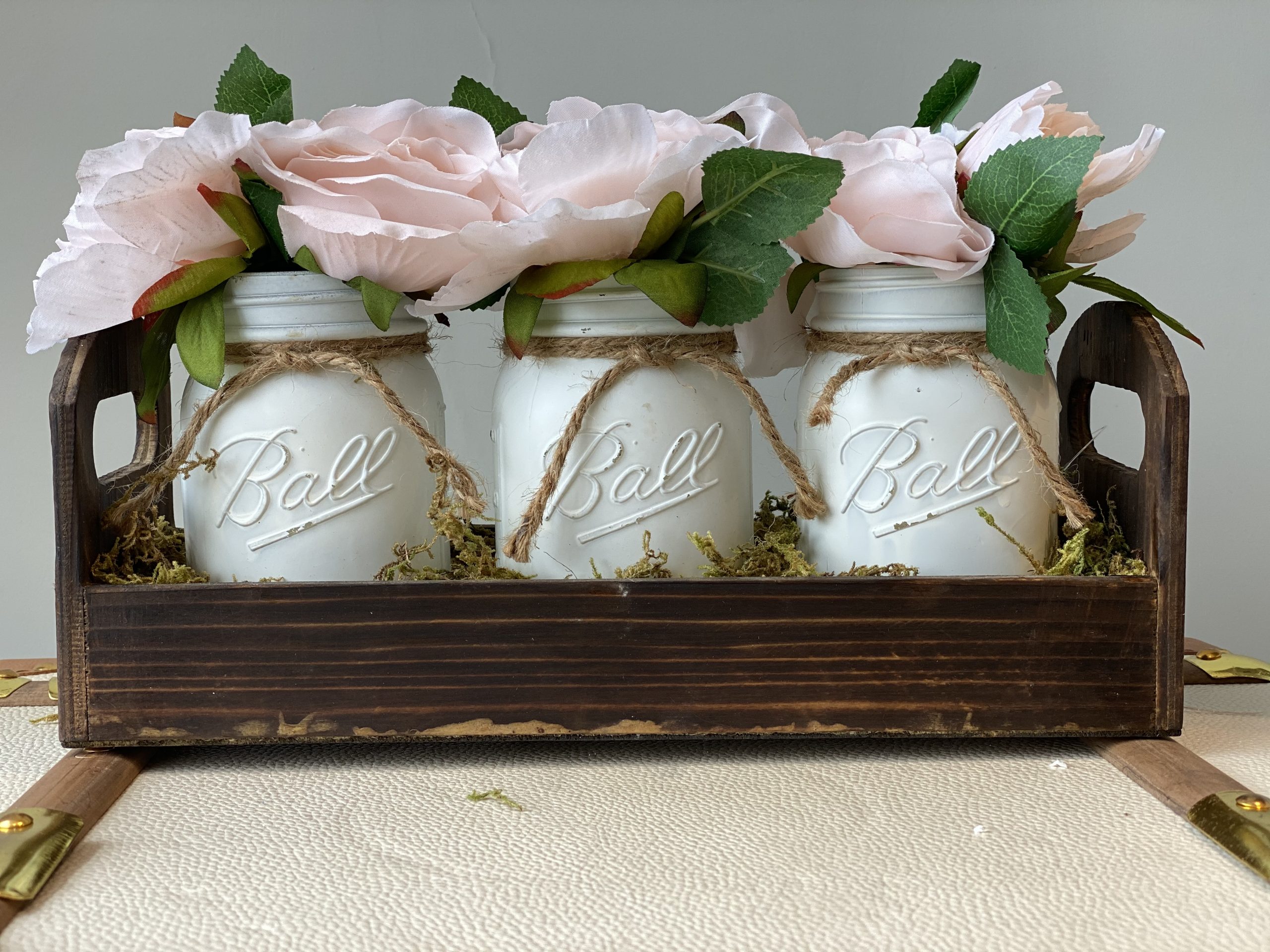 3 In 1 Jar Plant