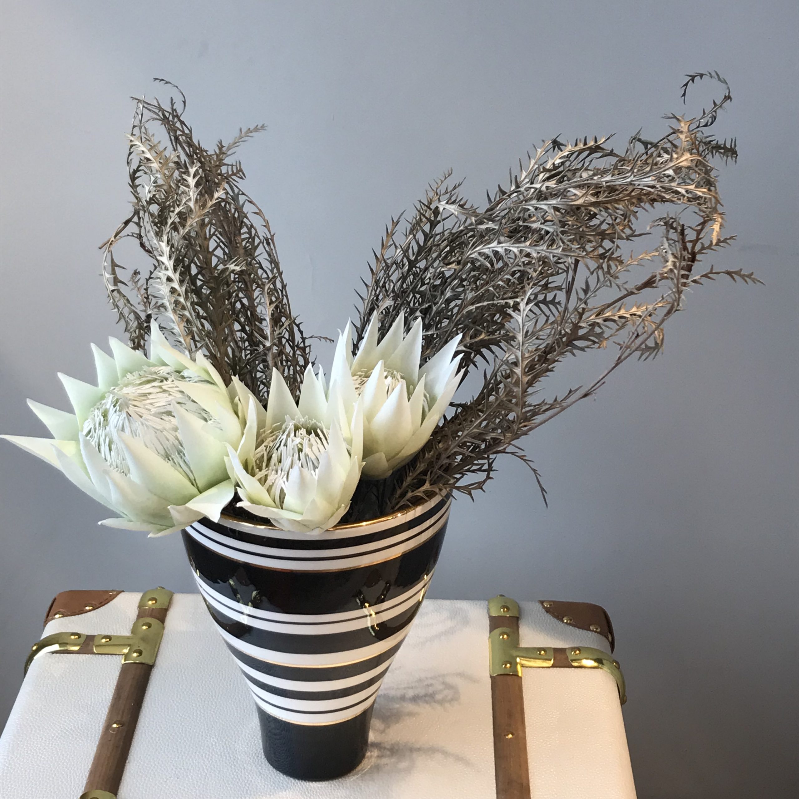 Tulip Plant In Black & White Stripped Vase